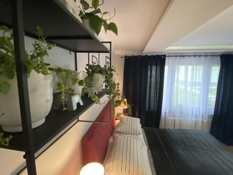 Apartament ,, Sen I Kawa" - Komfortowy Nocleg W Sercu Aglomeracji Bytom Exterior foto